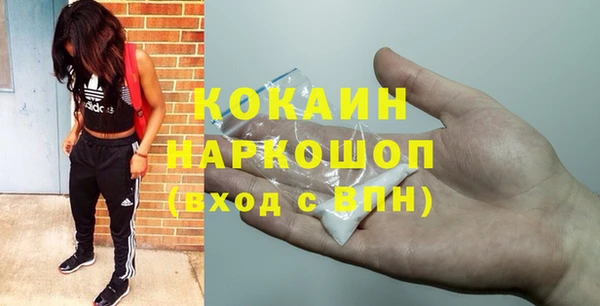 ПСИЛОЦИБИНОВЫЕ ГРИБЫ Апатиты