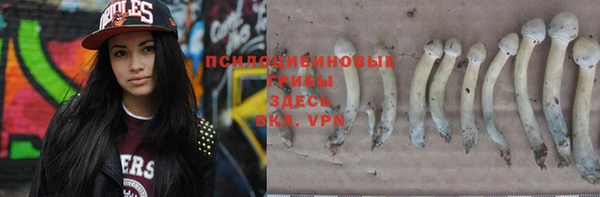 apvp Лихославль