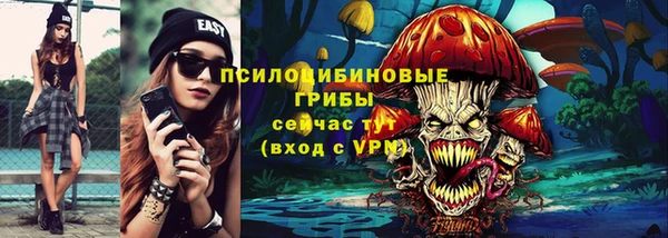 прущая мука Аша