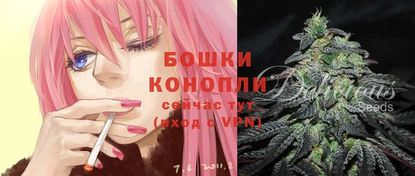 PSILOCYBIN Липки
