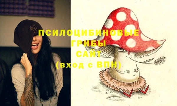 apvp Лихославль