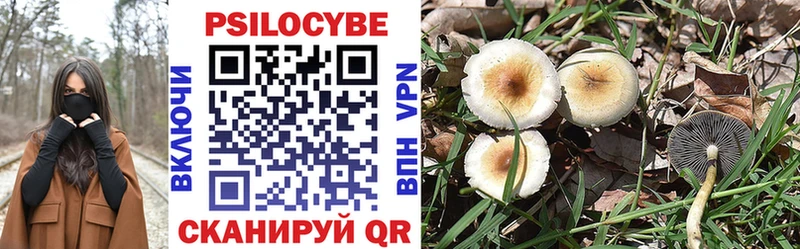 Псилоцибиновые грибы мухоморы  Талица 
